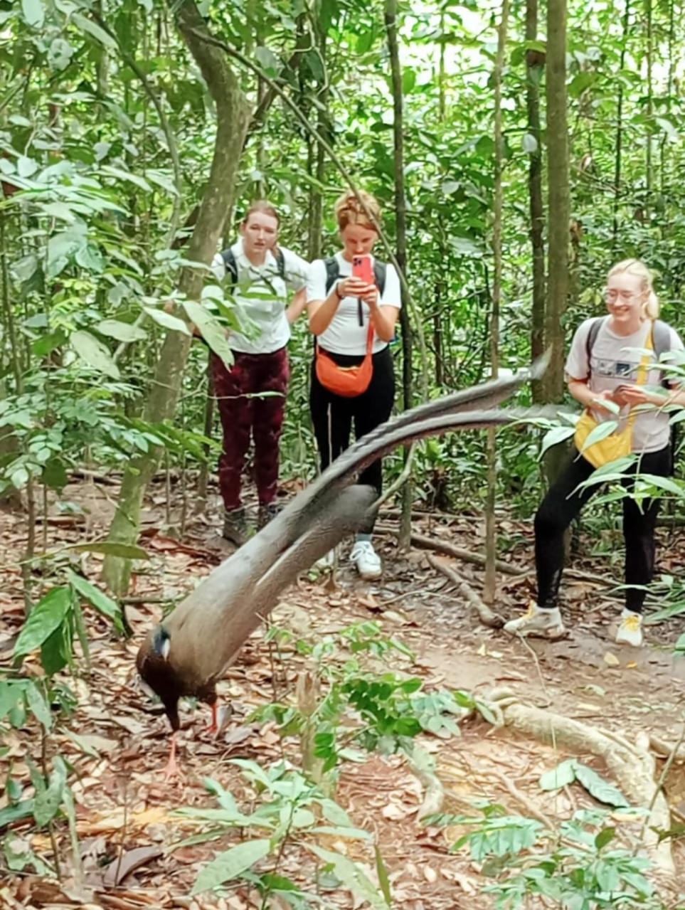 Landak River Guest House Only Trekking With Us Bukit Lawang Ngoại thất bức ảnh