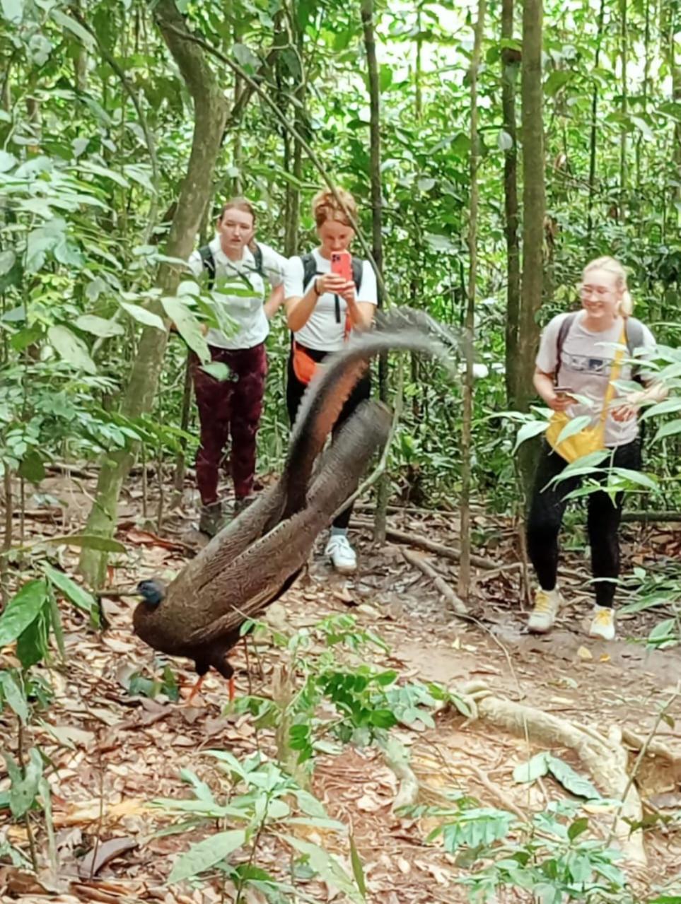 Landak River Guest House Only Trekking With Us Bukit Lawang Ngoại thất bức ảnh