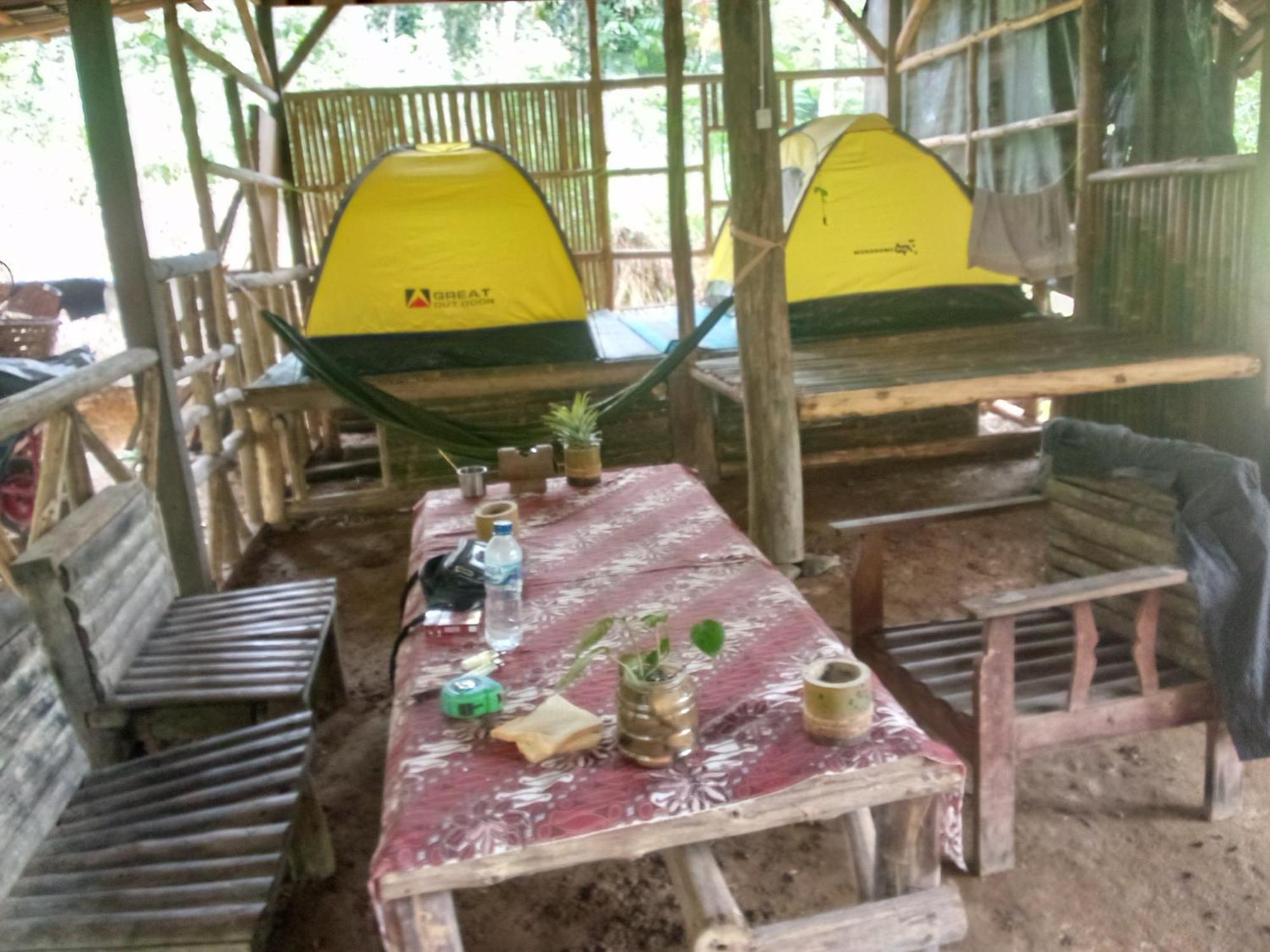 Landak River Guest House Only Trekking With Us Bukit Lawang Ngoại thất bức ảnh