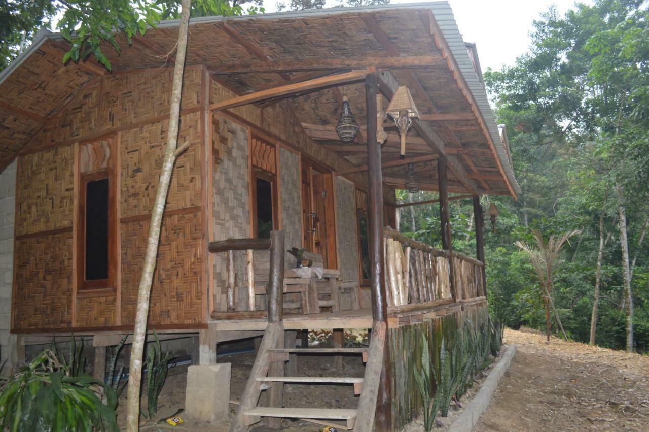 Landak River Guest House Only Trekking With Us Bukit Lawang Ngoại thất bức ảnh