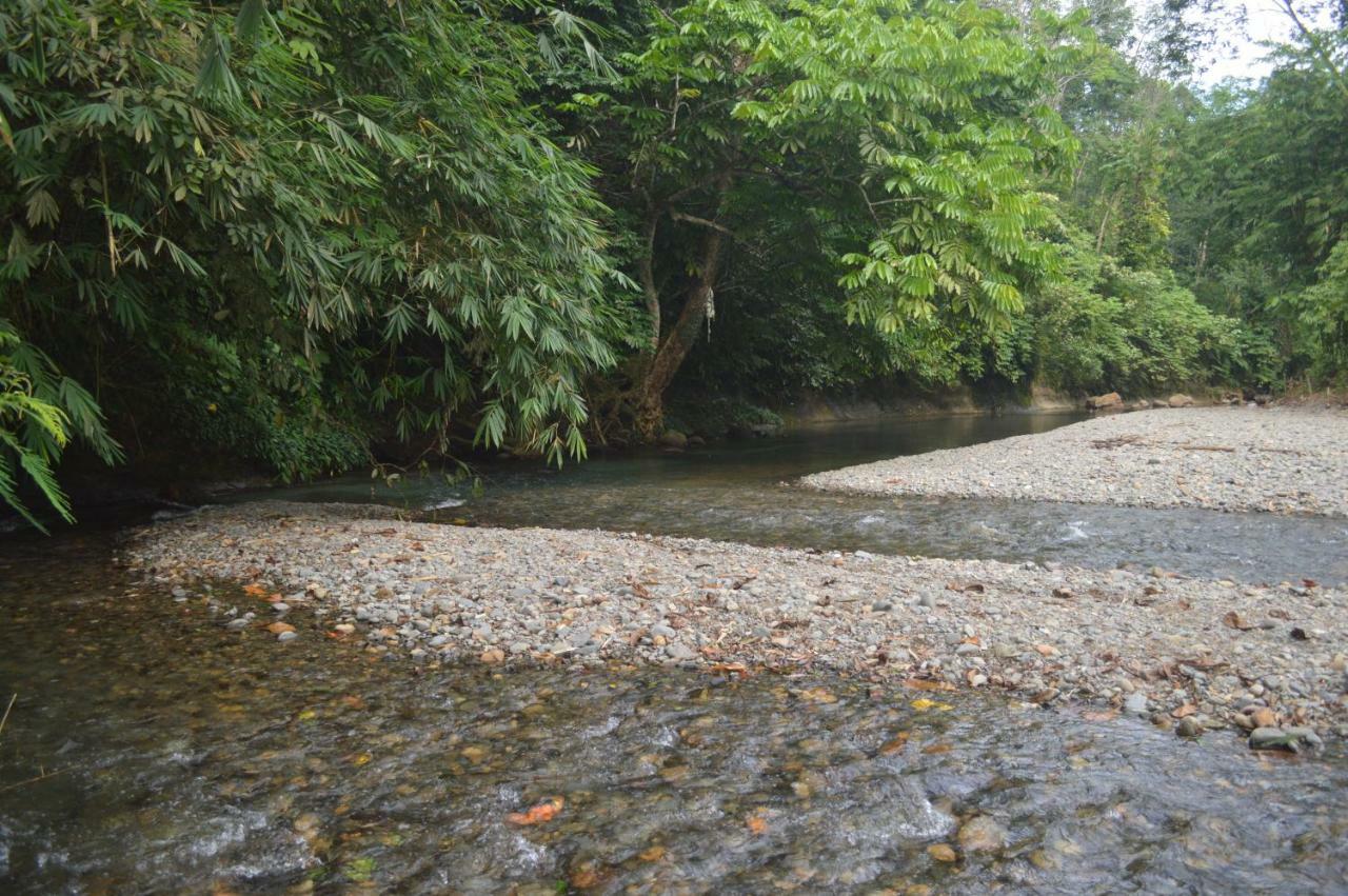 Landak River Guest House Only Trekking With Us Bukit Lawang Ngoại thất bức ảnh
