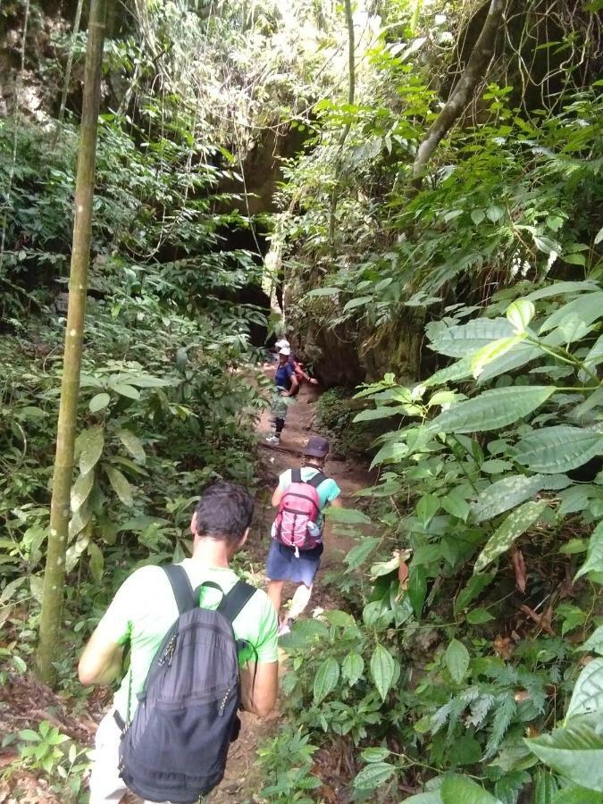 Landak River Guest House Only Trekking With Us Bukit Lawang Ngoại thất bức ảnh