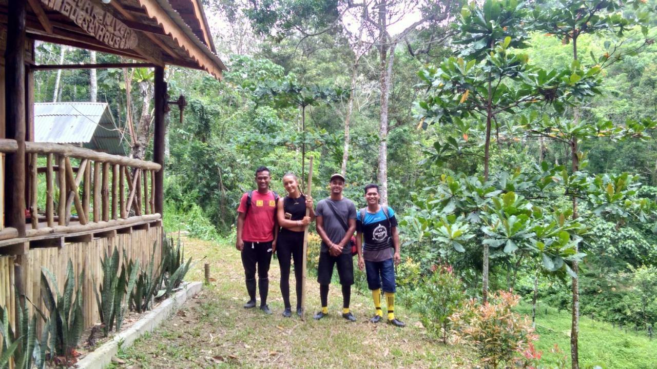 Landak River Guest House Only Trekking With Us Bukit Lawang Ngoại thất bức ảnh