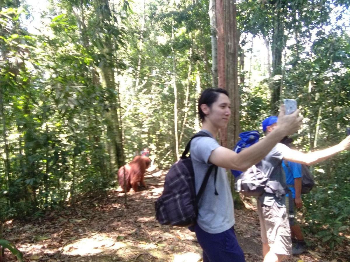 Landak River Guest House Only Trekking With Us Bukit Lawang Ngoại thất bức ảnh