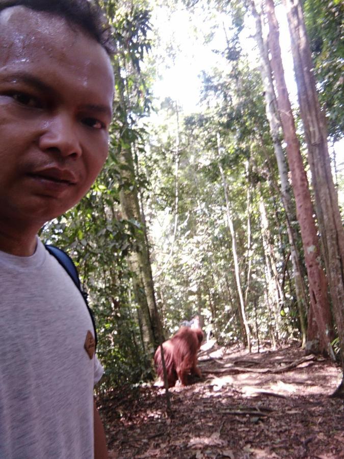 Landak River Guest House Only Trekking With Us Bukit Lawang Ngoại thất bức ảnh